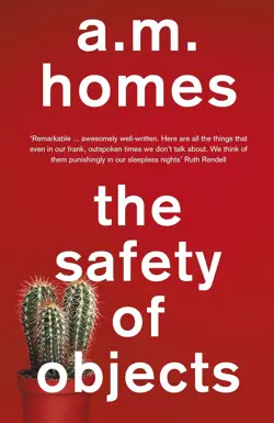 Safety of Objects