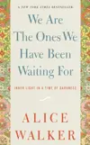 We Are The Ones We Have Been Waiting For: Inner Light in a Time of Darkness