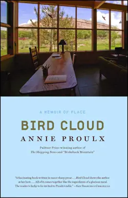 Bird Cloud