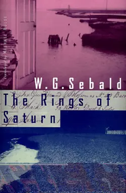 The Rings of Saturn
