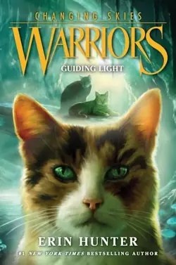 Warriors: Changing Skies
