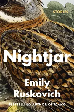Nightjar