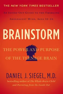 Brainstorm