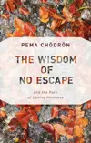 The Wisdom of No Escape