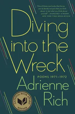 Diving Into the Wreck