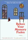 Before Your Memory Fades