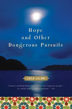 Hope and Other Dangerous Pursuits