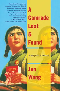 A Comrade Lost And Found