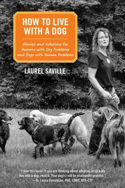 How to Live With a Dog