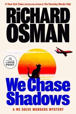 We Chase Shadows